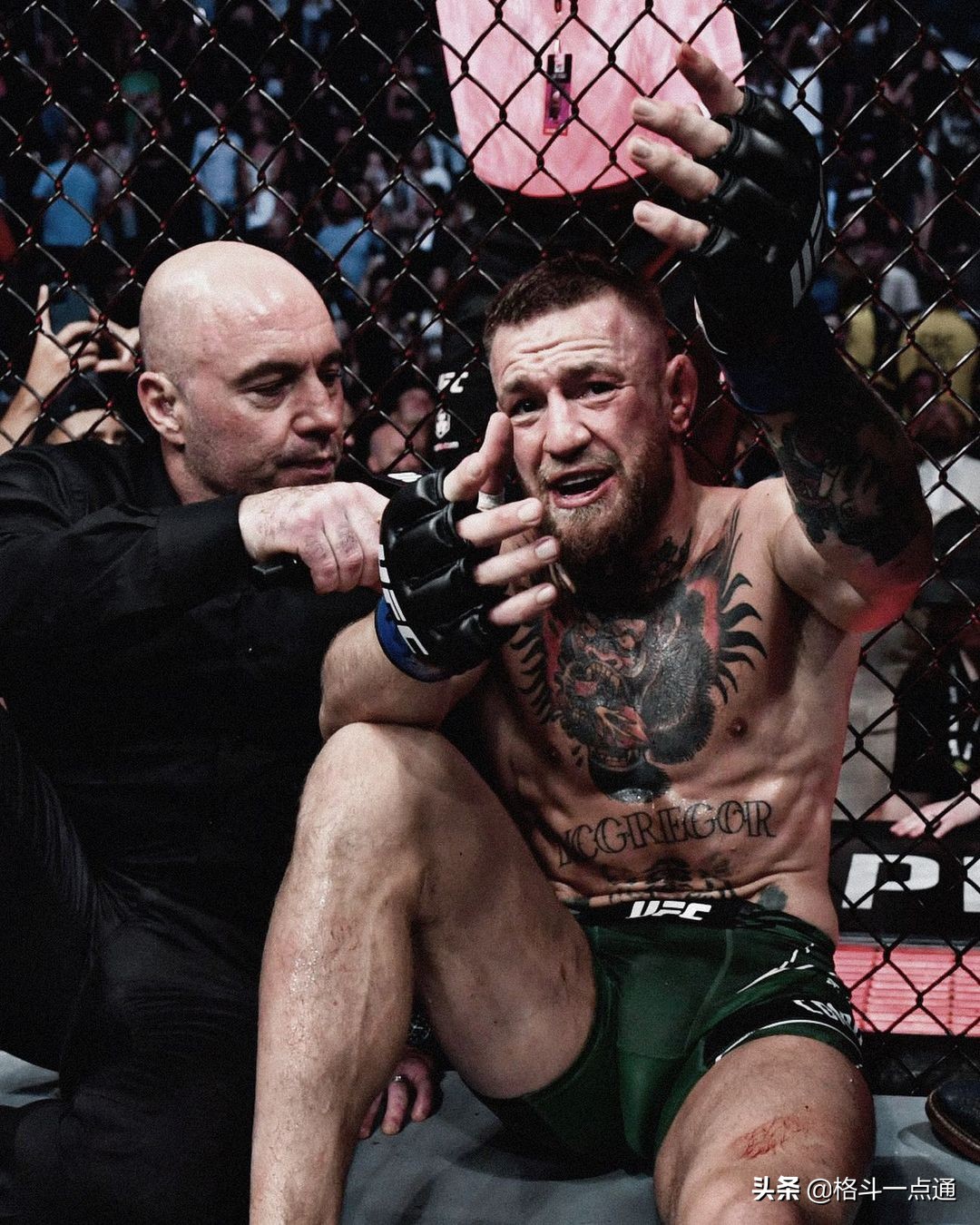 康纳vs钻石三番战直播结局(ufc264落幕,嘴炮vs钻石!