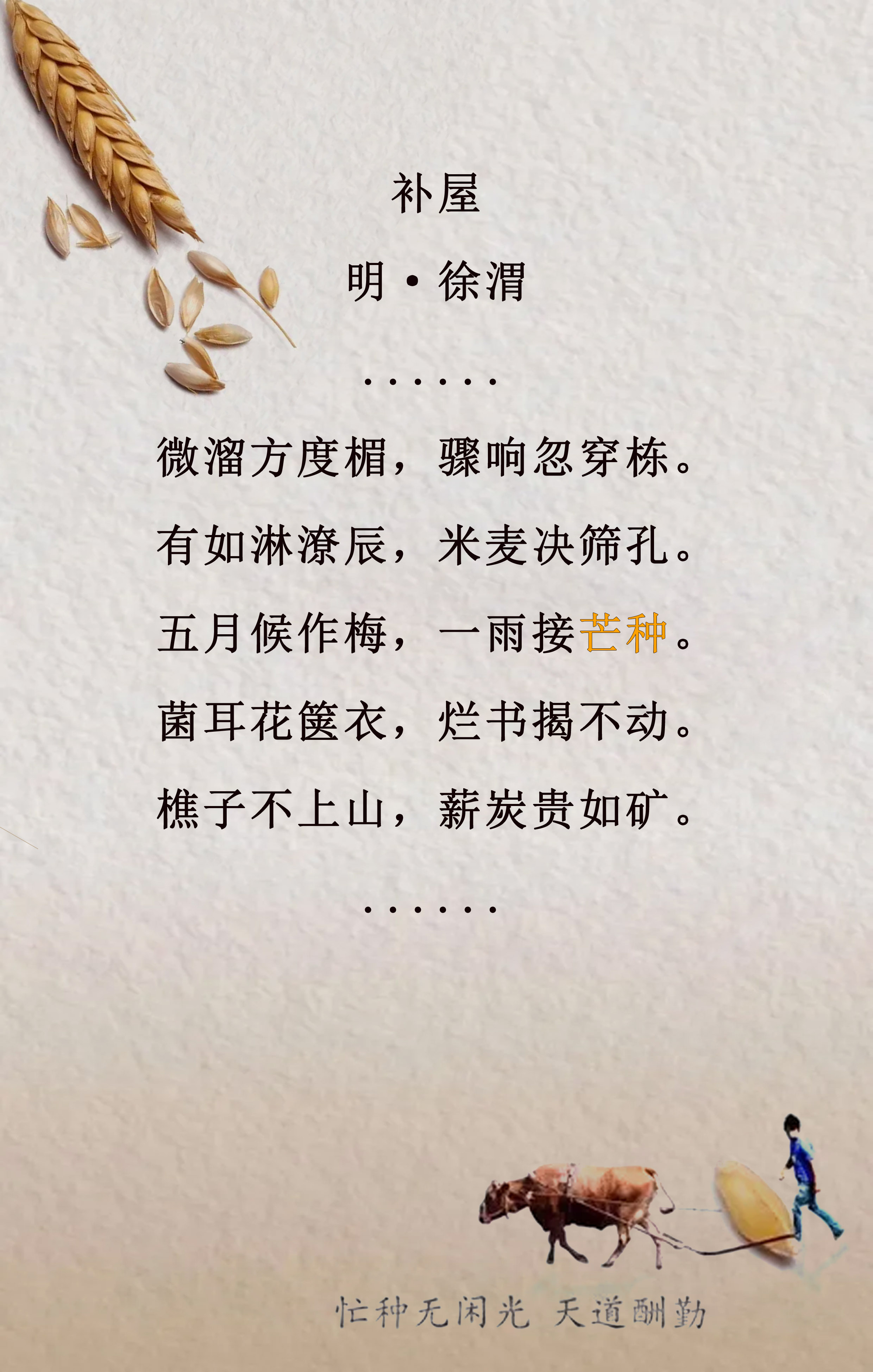 芒种的诗句 《芒种》古诗-双佳迪