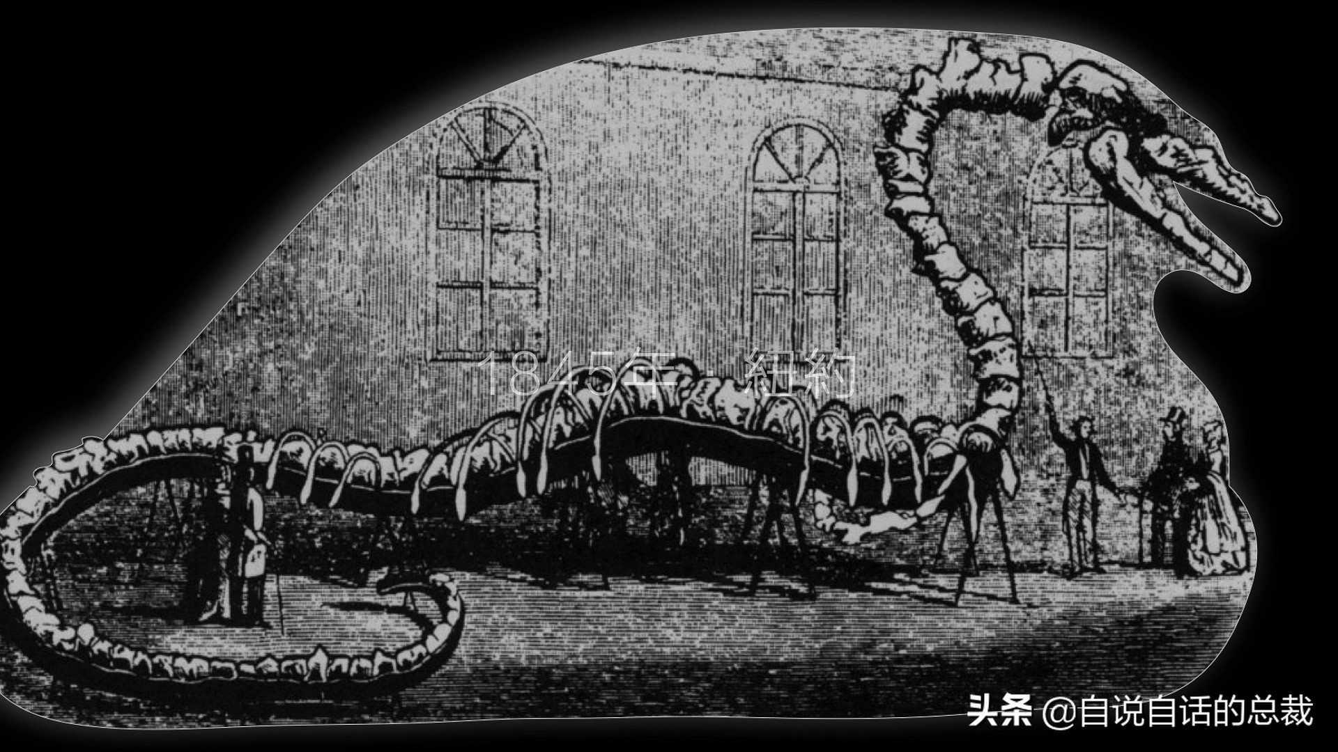 5种比巨齿鲨还恐怖的海怪，背后隐藏着一个人类起源的故事