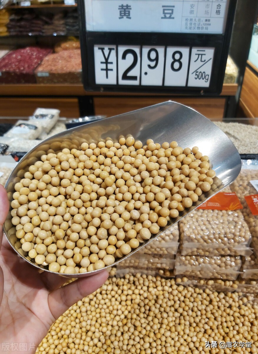 大豆目前多少钱一斤？豆价为何一路上涨？2021年11月大豆价格行情