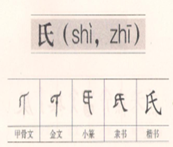 小学语文一年下册《姓氏歌》知识积累干货、能力扩展训练