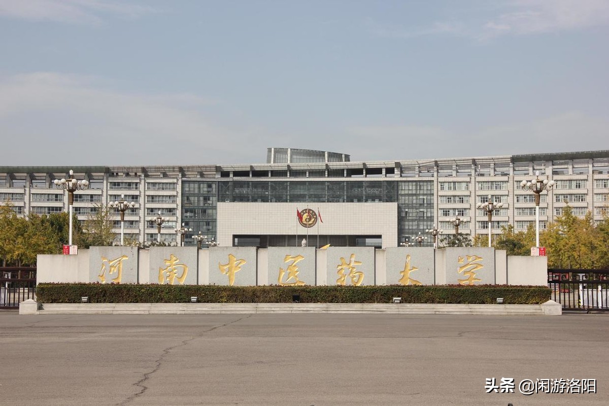 不愧是洛阳伊滨区！这所一本高校落地大学城，今年9月就开学