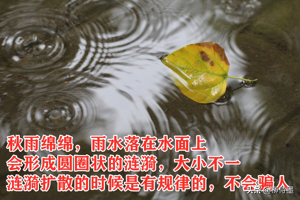 秋天景色美不胜收，每天学点摄影技巧，拍好“一叶知秋”