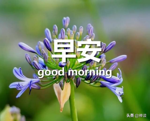 早安心语：心有多大，舞台就有多大