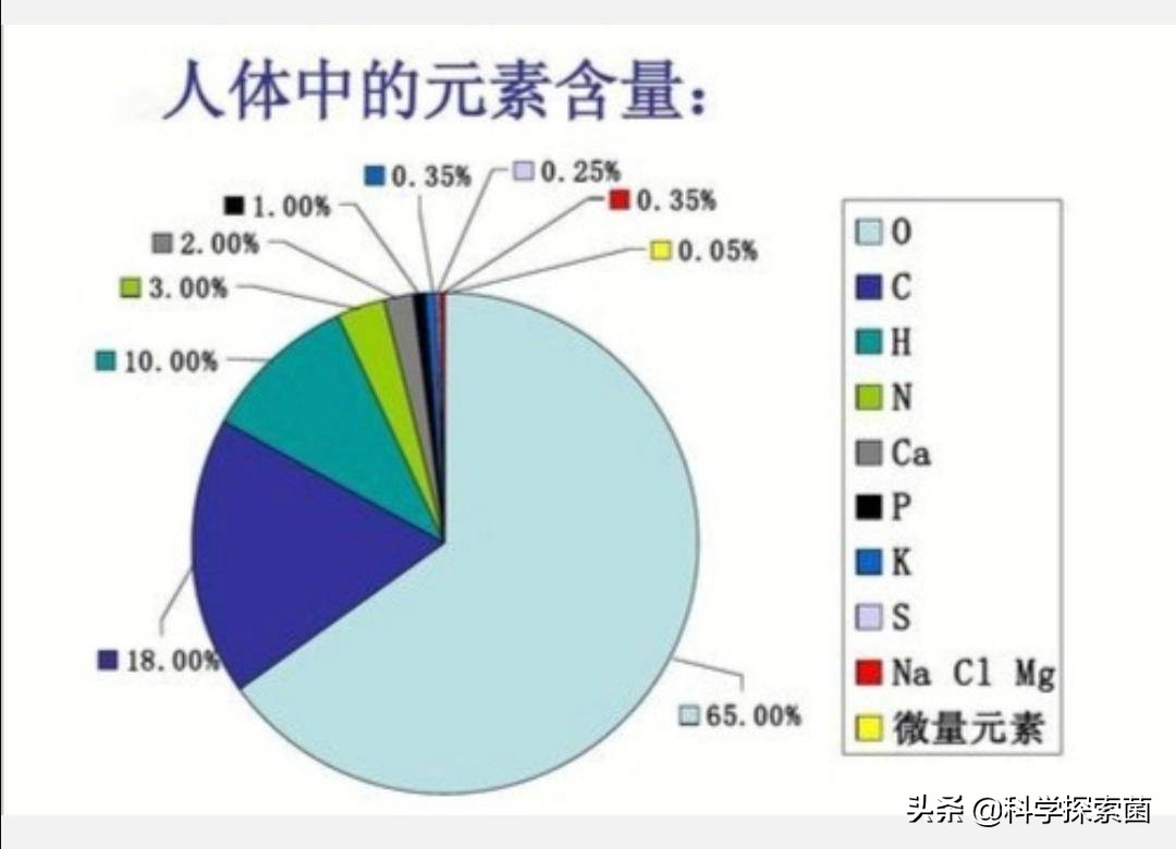 人体中含量最多的元素 人体含量最多五种元素-春风号