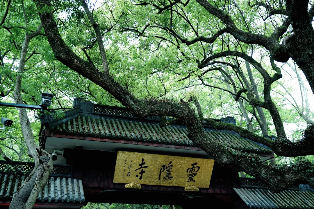 杭州终极拜佛攻略｜走这条路，一天解锁灵隐法喜7大宝藏寺庙