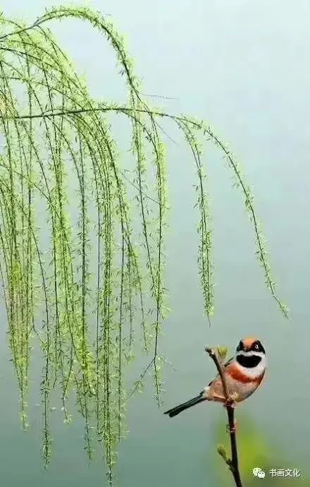 刘禹锡《乌衣巷》赏析