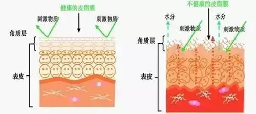 女人的精华液(40款护肤精华液：告别初老，从尊重皮肤开始，选对了才不浪费)