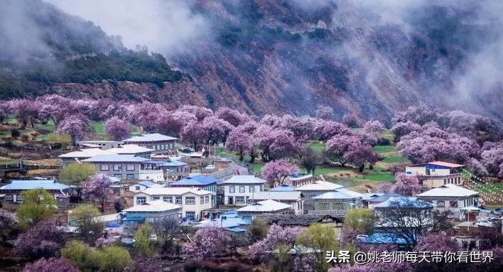 藏历新年，冬天的圣城