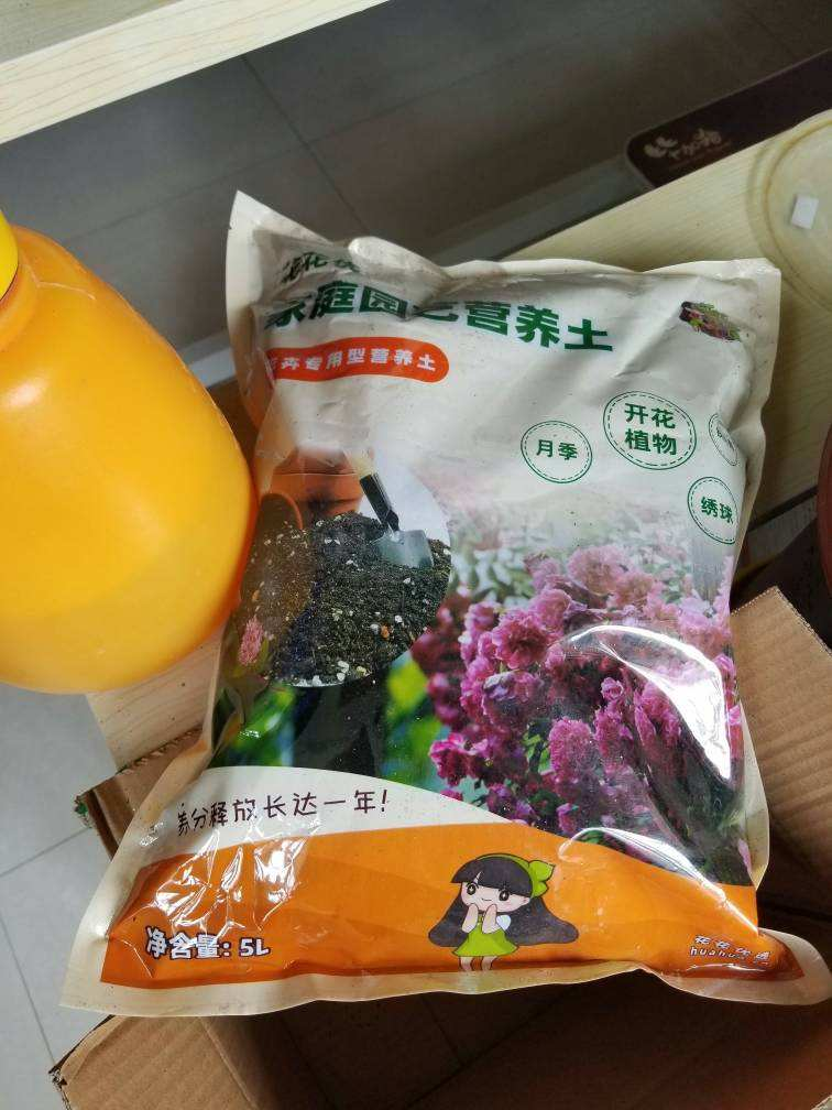 植物生长需要什么（4种养花常备的必需品介绍）