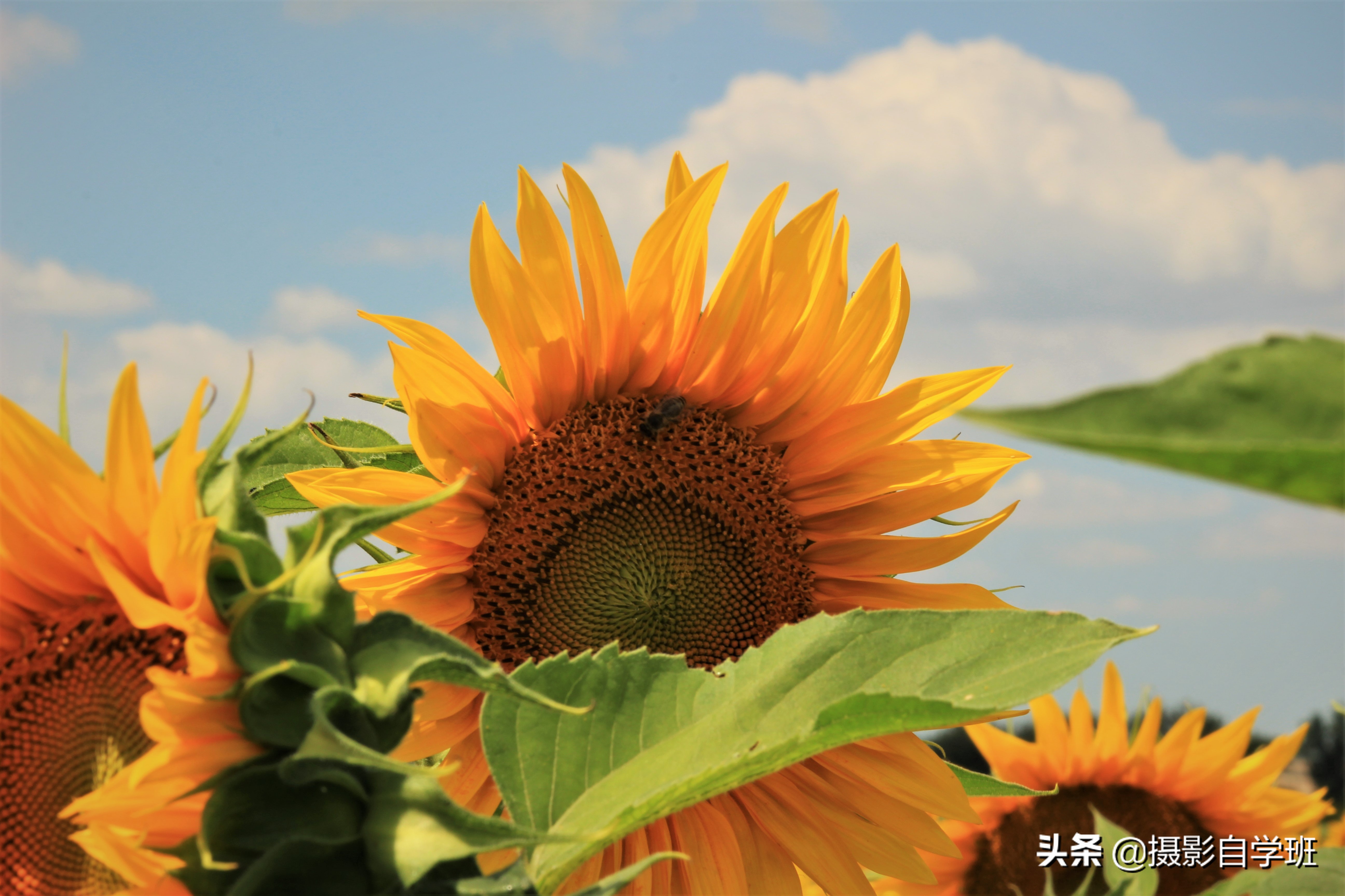 秋天那么美,为啥你拍的照片不好看?这6组秋景摄影作品给你答案