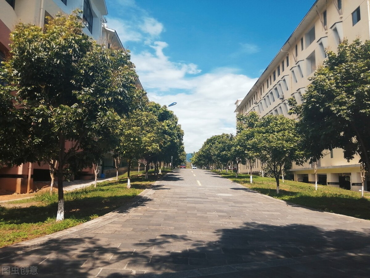 高等专科学校，职业学院哪种更好？这3个不同和一个相同要牢记