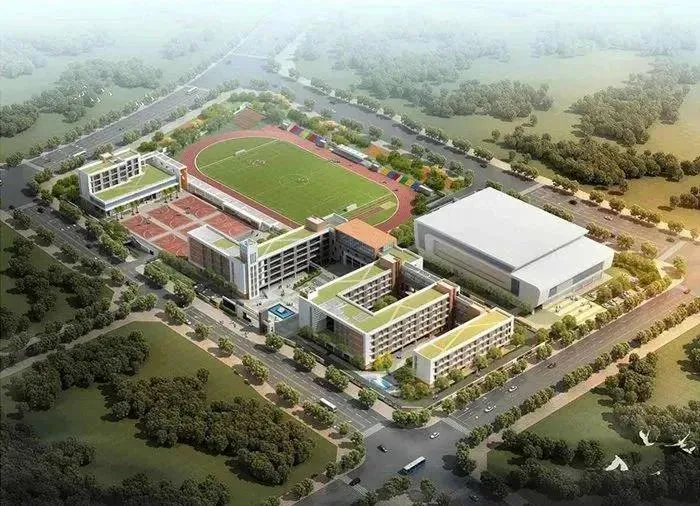 家长愁秃了头！厦门多所学校生源爆满，部分学校超员