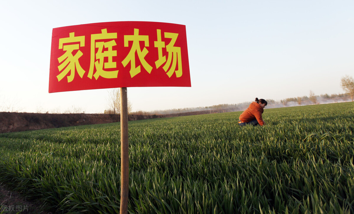 家庭农场注册公司（农村怎么申请家庭农场）