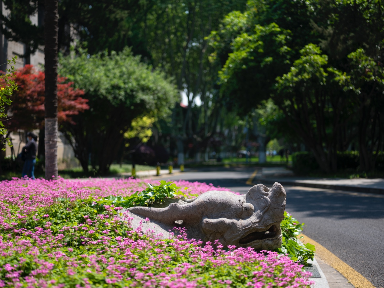 东南大学：我不是“福建大三本”
