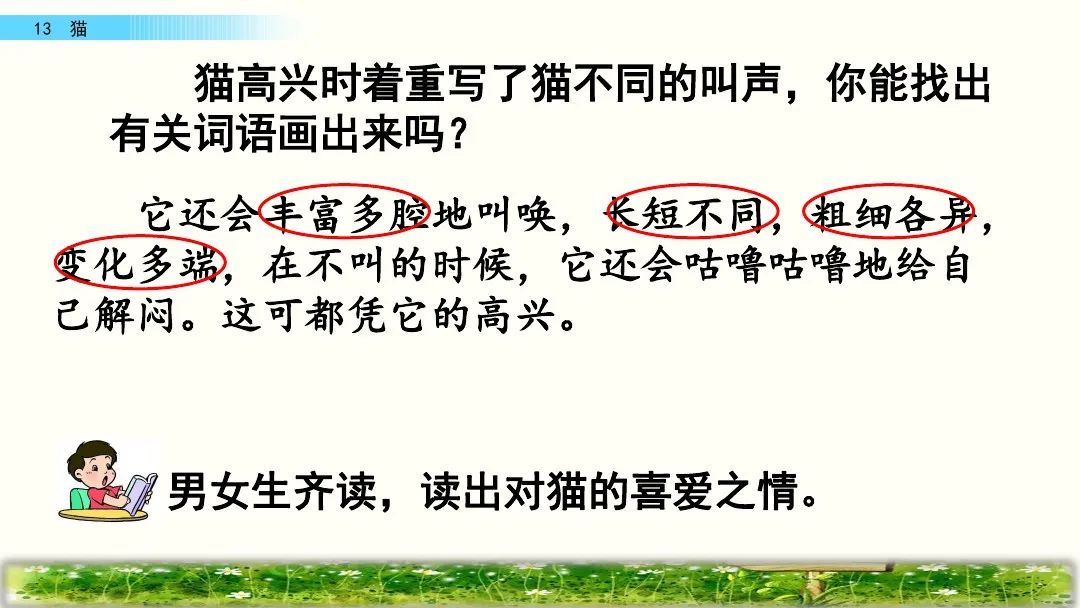 部编版四年级下册第13课《猫》课文朗读,知识点,图文解读