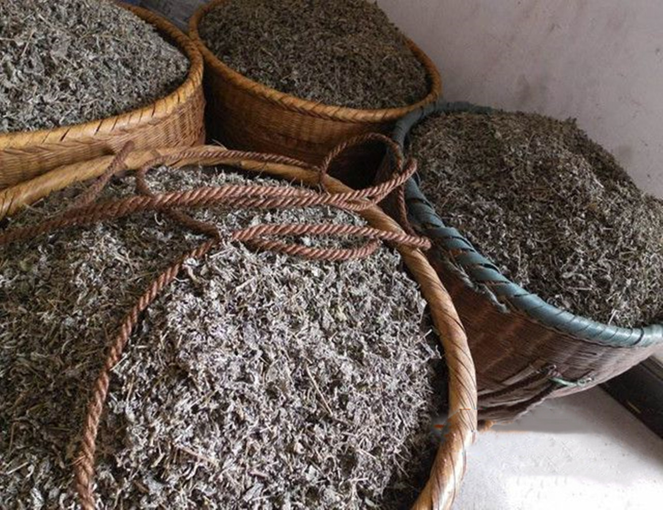 神奇的茅岩莓茶，被称为甘露茶。它白霜满披、清香怡人、滋味醇厚