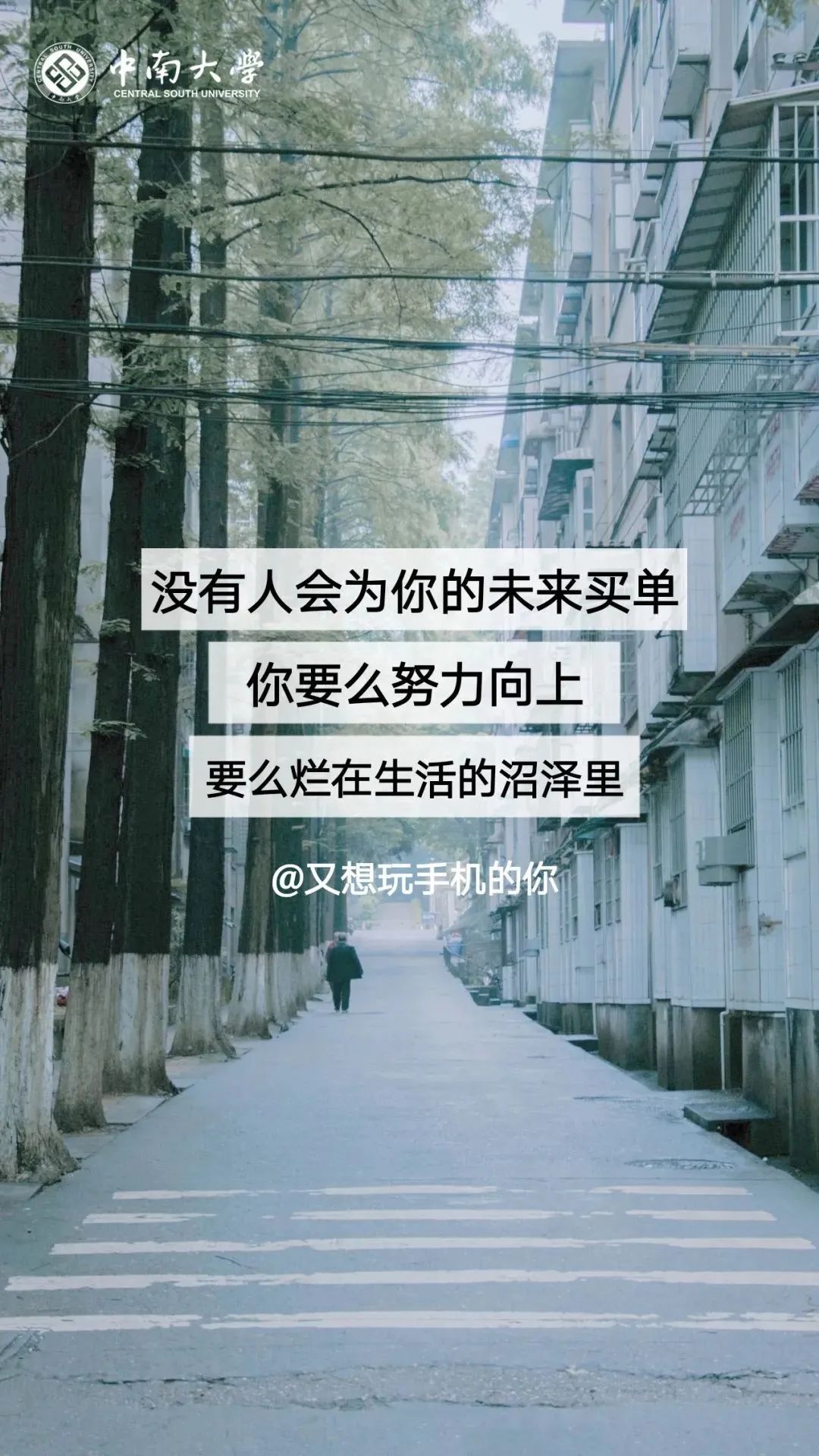 你的理想大学，终于被做成了手机壁纸
