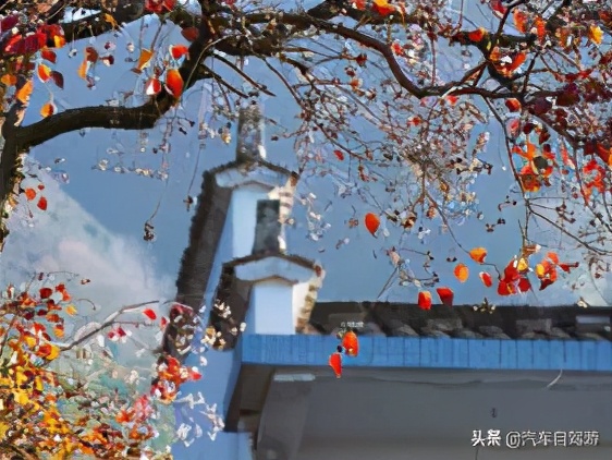 收藏这9条“国之道”自驾游线路，可以充实玩一整年！（附地图）