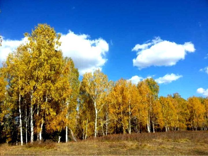 令人难以忘怀的梦幻禾木