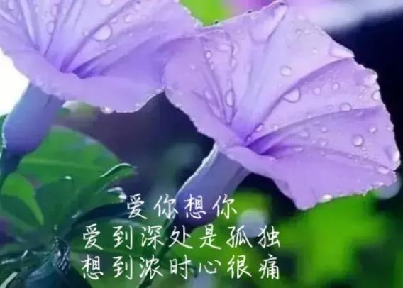 痴心一人，念一世情长；爱你，余生再也不能没有你