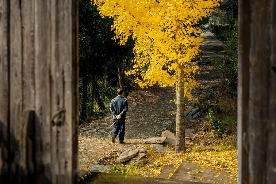 你姓什么，你的根就从哪儿来