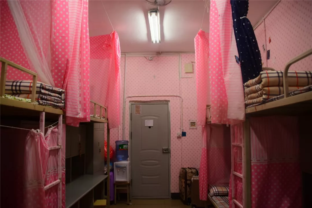 中国“双高计划”建设单位，四川交通职业技术学院2020单招计划