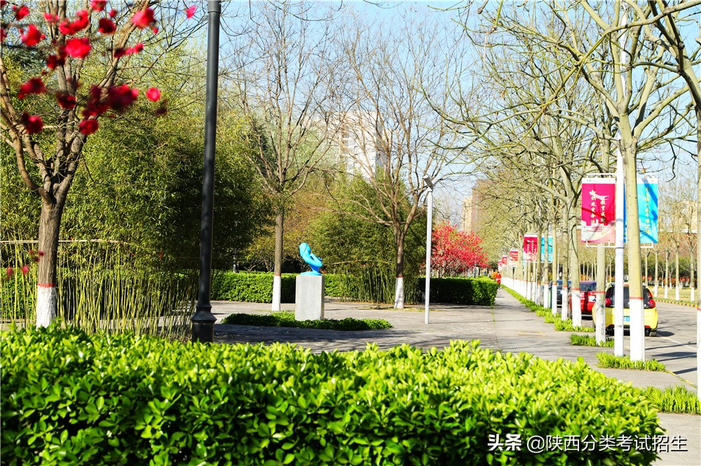 西安航空职业技术学院2020年示范高职院校单独考试招生章程