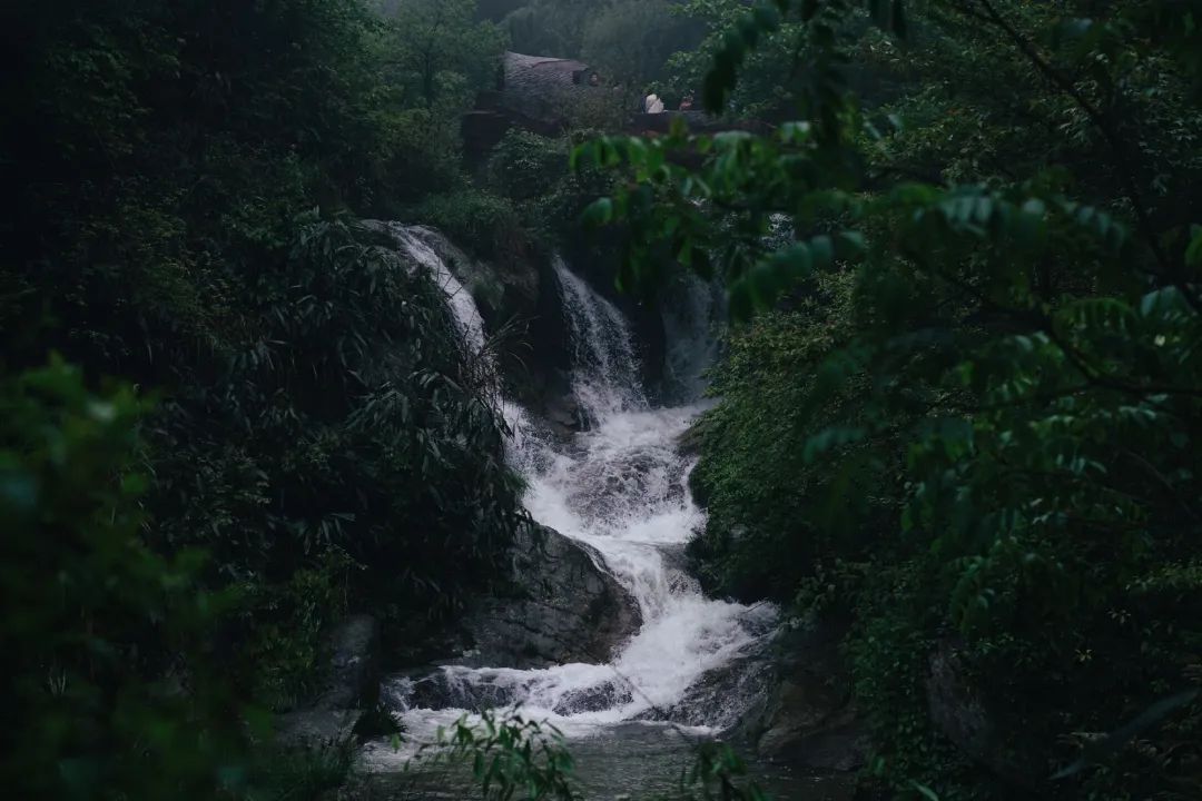 云宿 | 云雾花香 水穷处看云起时