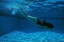 东京奥运会取消项目有哪些（奥运史上消失的项目有哪些）