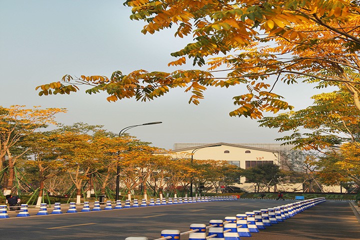 浙江这所双非大学近年发展很快 位置优越性价比不错