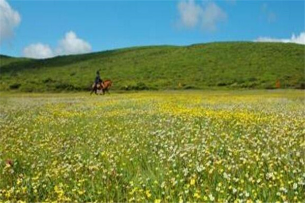 这个季节攀枝花哪里好玩的地方（攀枝花的10大景点）