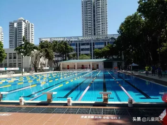 深圳50多家游泳培训班大盘点！泳池、教练、课程、价格…哪家强？