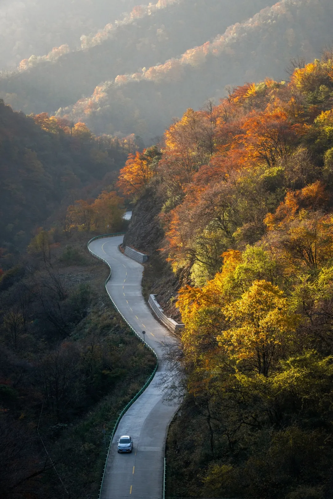 秦岭免费景点自驾游图片