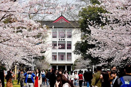 南京林业大学专业（南京林业大学研究生专业目录）