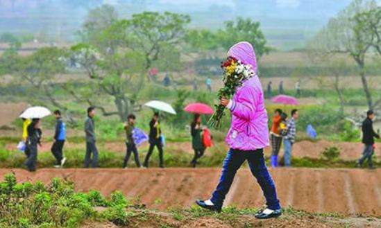 清明节为什么总下雨？清明下雨好吗？听听农谚咋说吧！