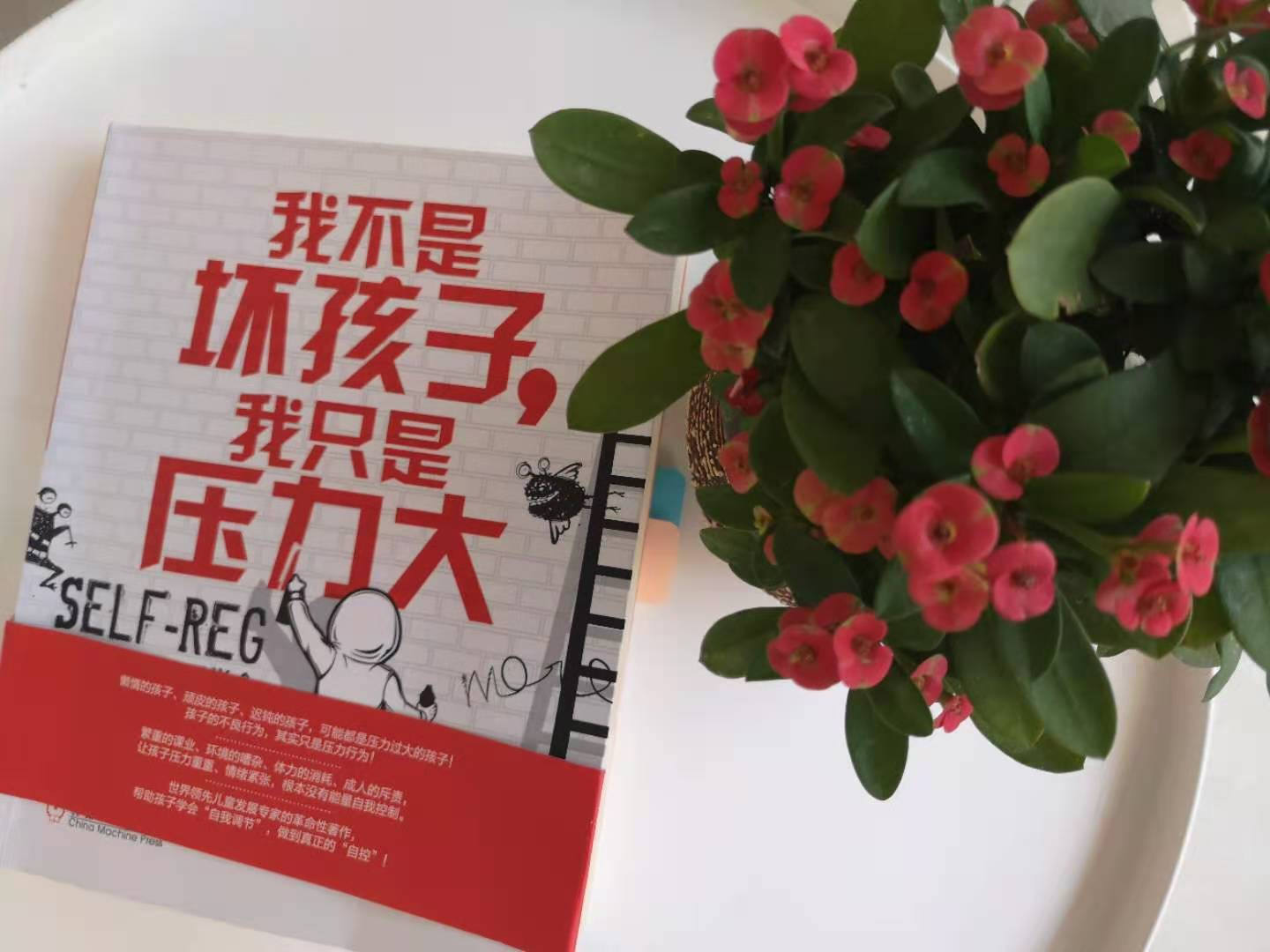 为什么父母越威胁孩子，孩子越不听？孩子愤怒的真相原来如此