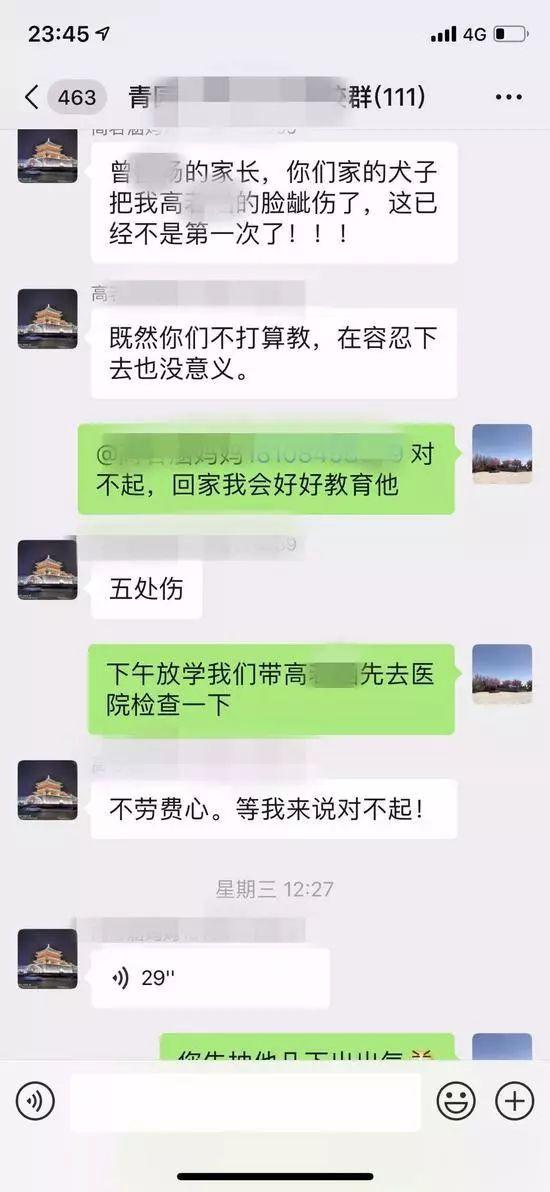 当孩子在学校被打时，家长应该如何处理？两方面引导才最有效！