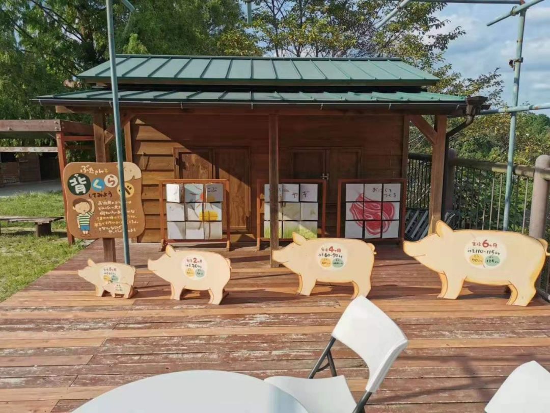 不过另一个庄主回怼了一句:你要是敢招募20名设计师,过两年也会像moku