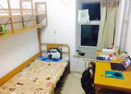 最“奢华”研究生宿舍Top13，又是别人家的学校系列，酸了