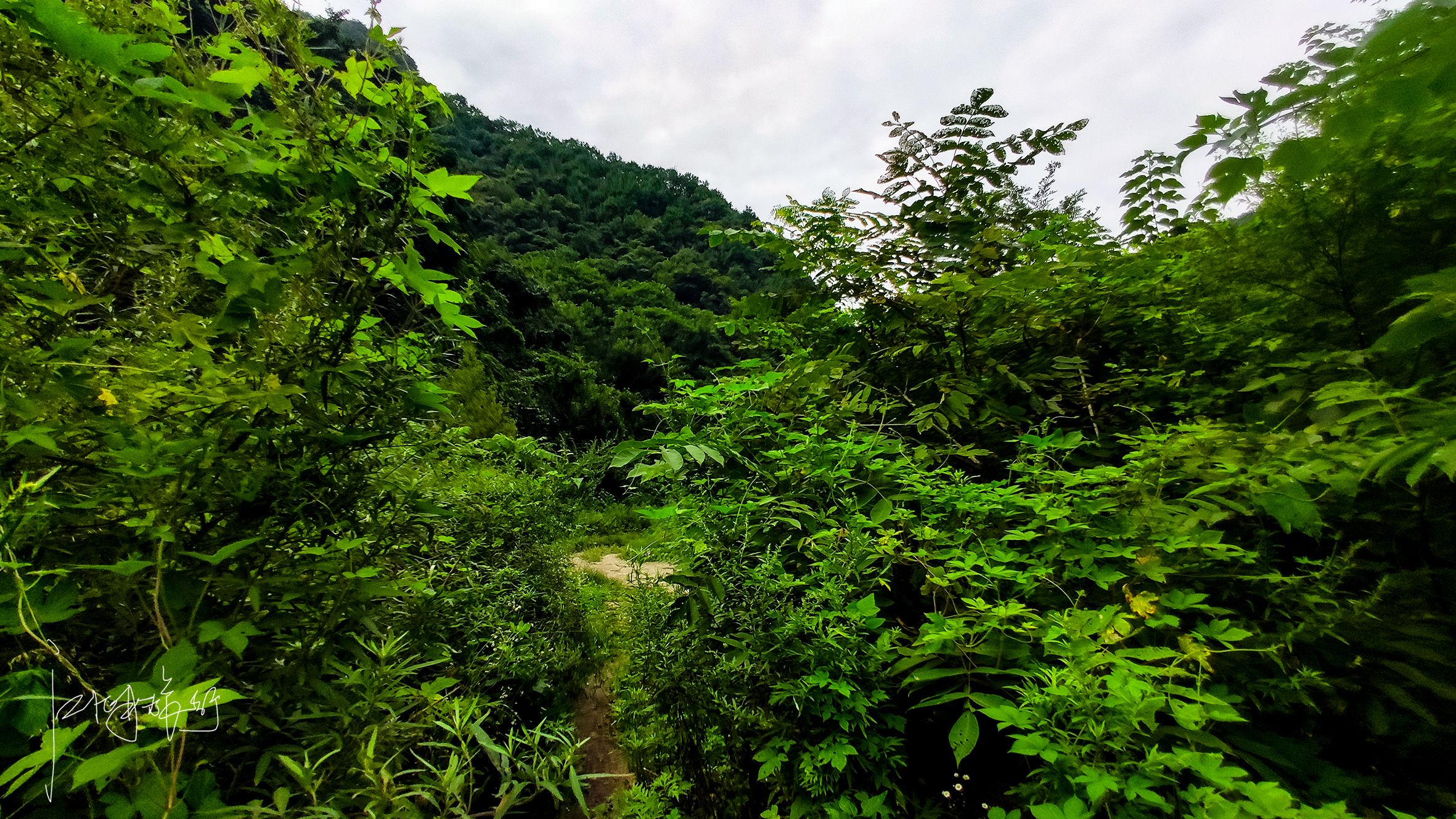 距西安南三环60公里，自驾秦岭小众峪谷，是爬山戏水的人间秘境