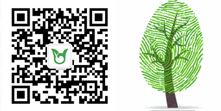 广州市白云中学2020年体育特长生招生方案