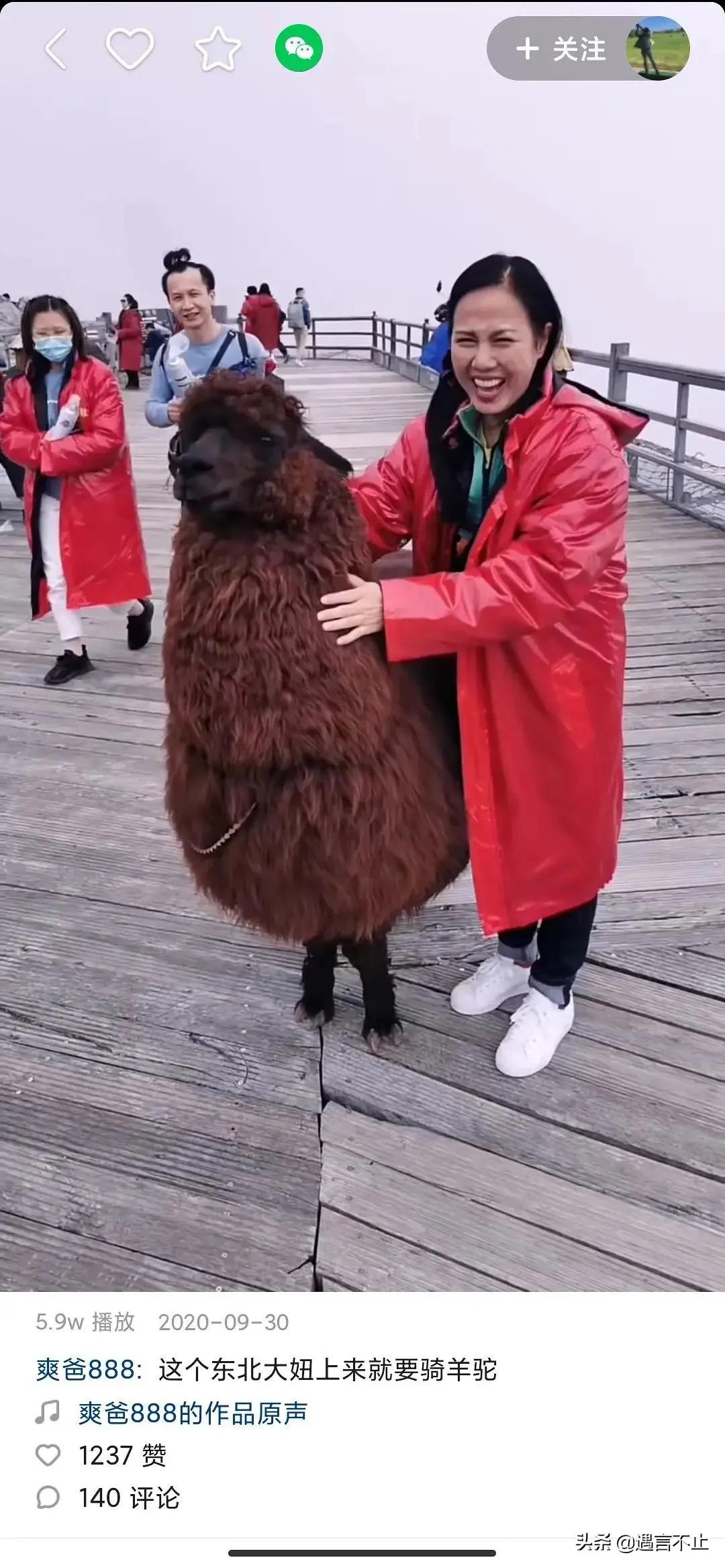 郑爽这种文盲+法盲的疯子，为什么能挣到几个亿的身家？