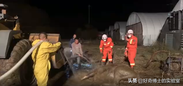 很多人都不知道11月9日是什么日子