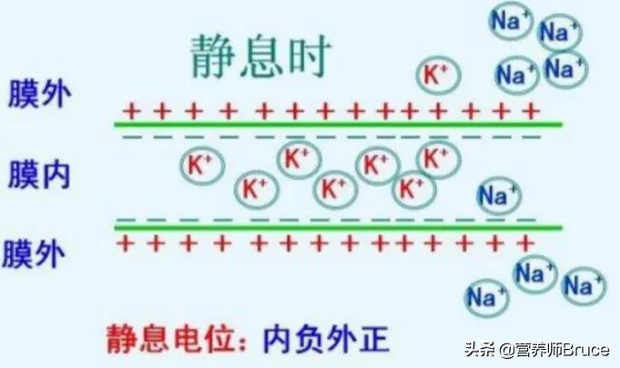 钠对人体有什么作用危害（高血压需要关注钠盐摄入）