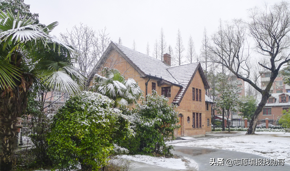 妥妥的潜力股！上海这所大学，实力强口碑好，有望冲击“双一流”