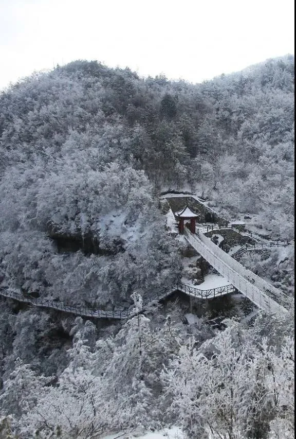 12月杭州哪里可以滑雪(千米高山，十年品牌，临安大明山万松岭滑雪场昨天开滑)