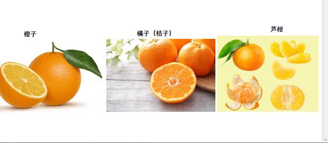 营养师:橙子,橘子,芦柑长得有点像,但营养却差十万八千里