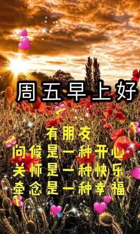 早安吉祥:又迎来新的一天,愿时光不老,我们都好,早上好