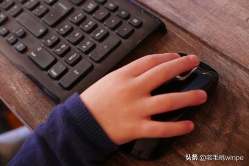 鼠标不动了怎么办（鼠标不动了怎么办？分享鼠标常见问题及其解决方法）